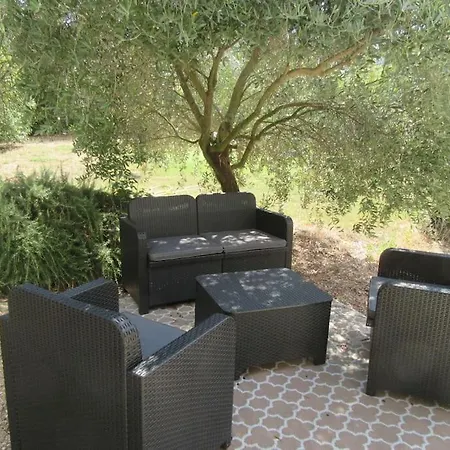 Lumineux Deux Pieces En Rez De Jardin Apartamento