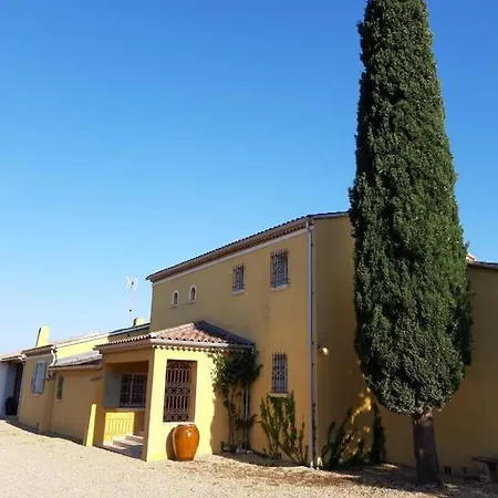 Apartamento Lumineux Deux Pieces En Rez De Jardin Hyères