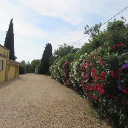 Lumineux Deux Pieces En Rez De Jardin شقة Hyères